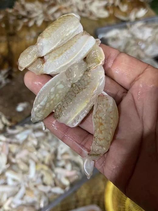 蟹脚肉，从野生大扁蟹的大钳敲下来的肉，无骨刺、蛋白质含量丰富，甜嫩有弹性 商品图4