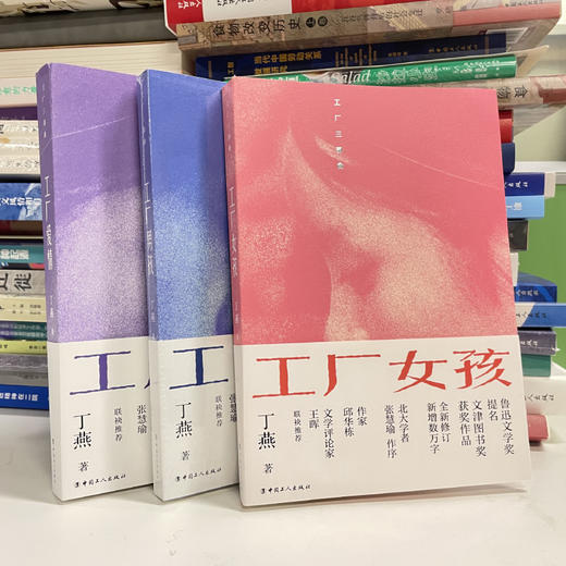 工厂三部曲：工厂女孩工厂男孩工厂爱情  丁燕 中国工人出版社 商品图1