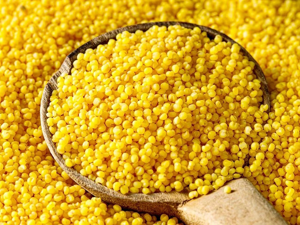 新小米｜2025年11月收