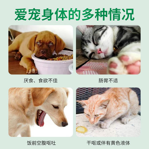 德国 cdVet 施德维特 胃利宝营养粉 100g 商品图1