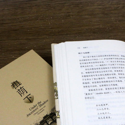 祖荫下传统中国的亲属关系  人格和社会流动 许烺光 著 社会科学 商品图3