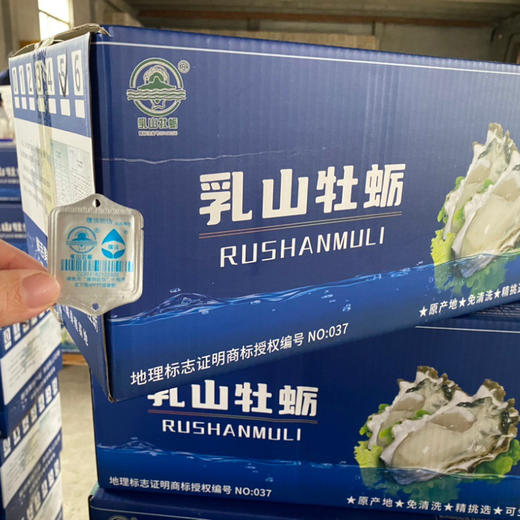 乳山生蚝 商品图5