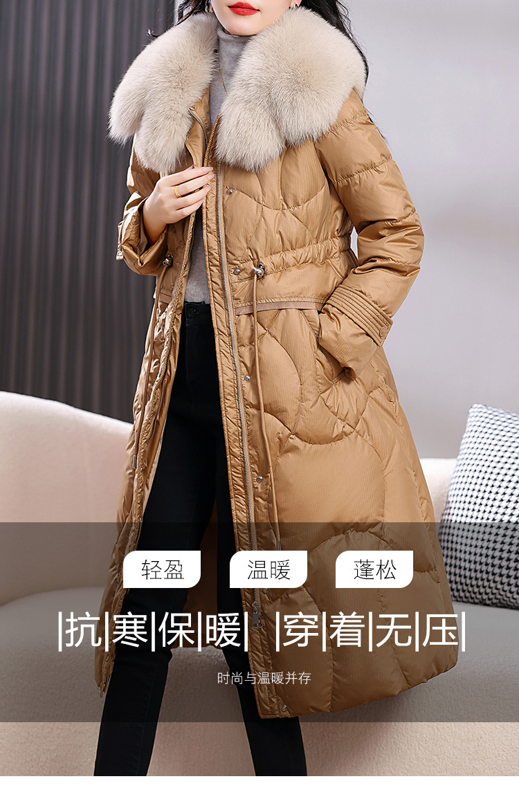 imucj/qmzdQ6ptJiPbm4z7r1yP1pZbG7HcrF