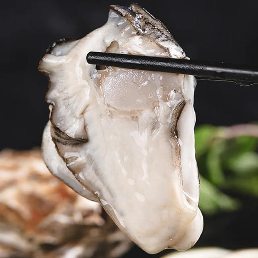乳山生蚝 商品图0