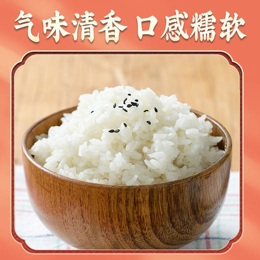 隆平芯米五常福稻500g东北长粒香粳米珍珠米当季新米 商品图2
