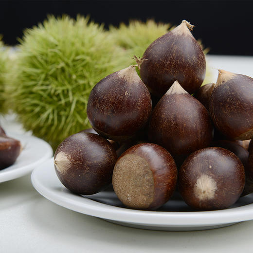 建瓯高山锥栗大果3斤装 商品图2