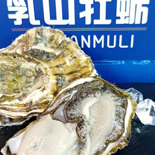乳山生蚝 商品图4