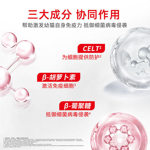 皇家  猫粮 幼猫猫粮1-4月  BK34  2KG 商品图4