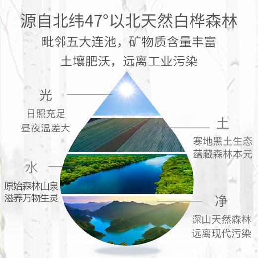 嘉桦白桦树汁 纯原汁，无任何添加，原汁原味 商品图4