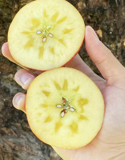 大凉山盐源丑苹果，我很丑，但我内心很甜
脆爽多汁口感极佳，一吃就知道它与其他苹果的区别，不催熟坚持原生态种植，带皮直接吃更健康！糖心率70％以上，大果，5斤/袋 商品图0