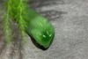 【御珠宫坊】碧玉竹节挂件 商品缩略图6