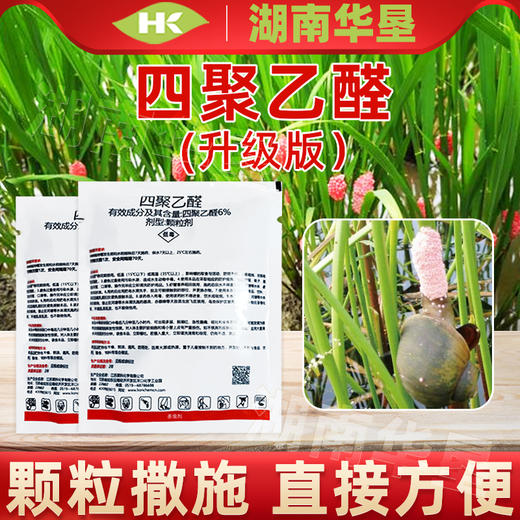 四聚乙醛颗粒剂升级版杀螺福寿螺水稻田专用药撒施灭螺农药杀虫剂 商品图1