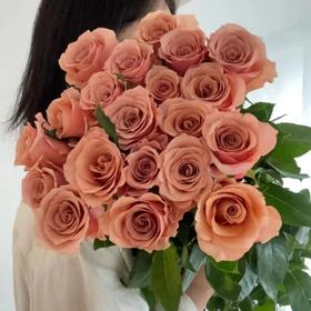 国产玫瑰-漠泊-B级-20支