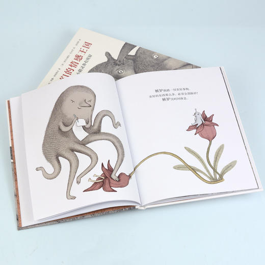 【奇想国】我们的情感王国：31个小精灵各有所好 商品图4