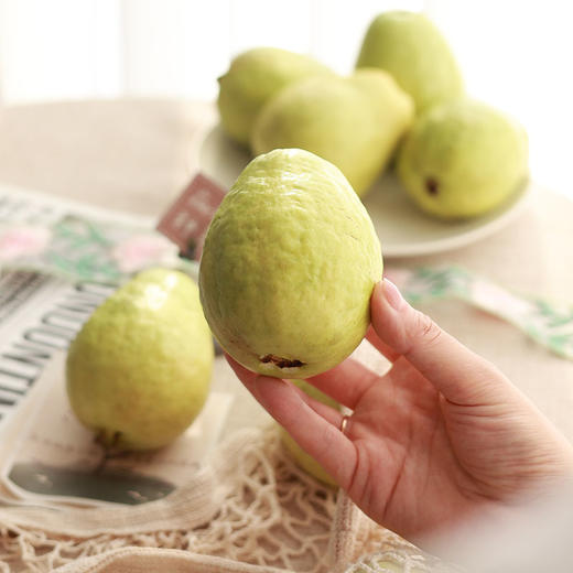 【奶油丝滑 清香软糯】福建奶油芭乐/红心芭乐 4.5斤礼盒装（8-13个左右） 商品图4