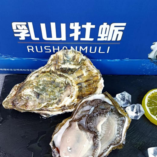 乳山生蚝 商品图3