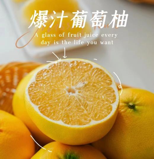爆汁葡萄柚 |水果 商品图0