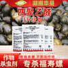 四聚乙醛颗粒剂升级版杀螺福寿螺水稻田专用药撒施灭螺农药杀虫剂 商品缩略图0