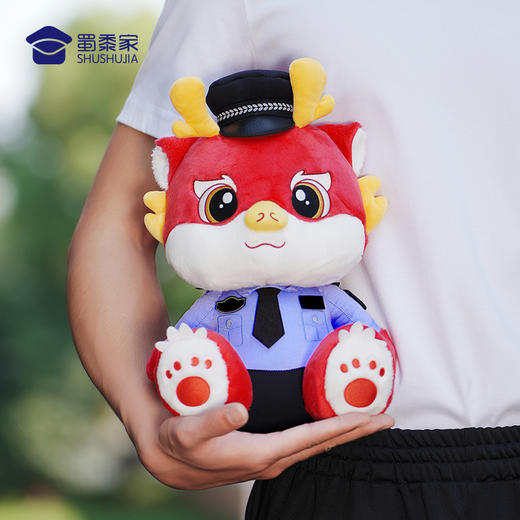 【蓝衬小龙（可定制）/清仓】可定制毛绒玩偶儿童礼品礼物萌萌龙公仔 商品图3