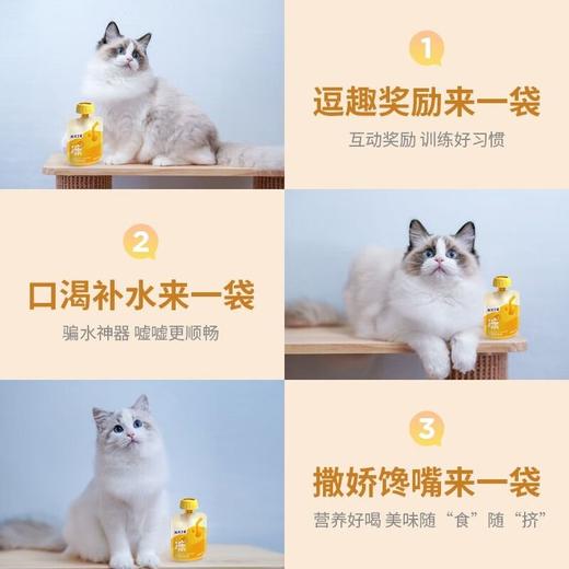 海洋之星宠物零食奶酪冻猫咪狗狗牛奶补水发腮零乳糖助肠胃60g 商品图4