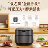 松下（Panasonic）饭之舞系列3L电饭煲 五段变频IH大火力家用电饭锅2-6人 备长炭铜釜 可预约 SR-HZ102 商品缩略图0