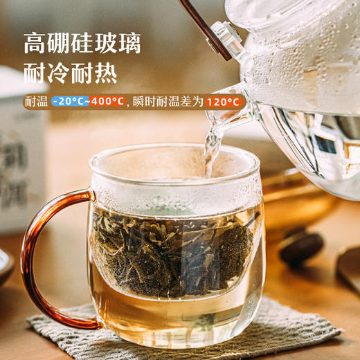 树可蘑菇头玻璃杯高硼硅杯子茶水分离牛奶果汁泡茶耐高温吸管水杯 商品图1