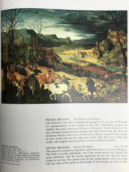 艺术史博物馆：维也纳 131幅插图 精装大16开 商品图9