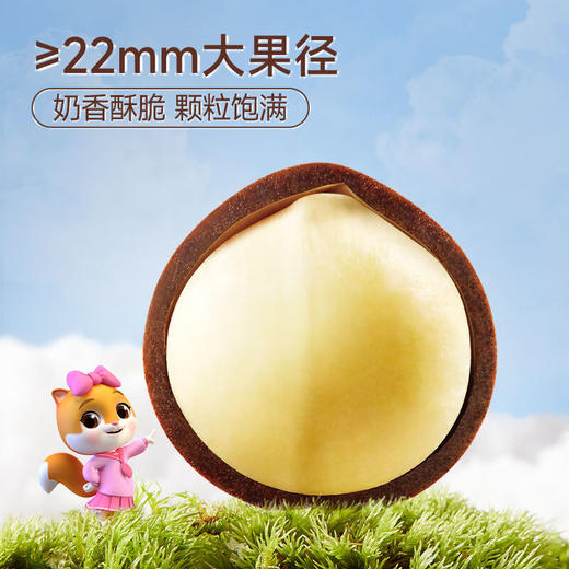 (百万补贴) 三只松鼠夏威夷果400g 商品图2