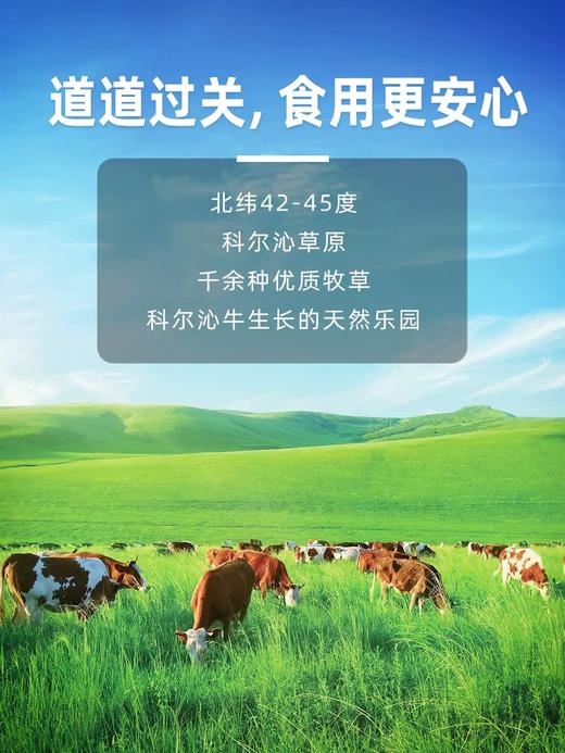 科尔沁牛肉串240g（孜然味） 商品图2