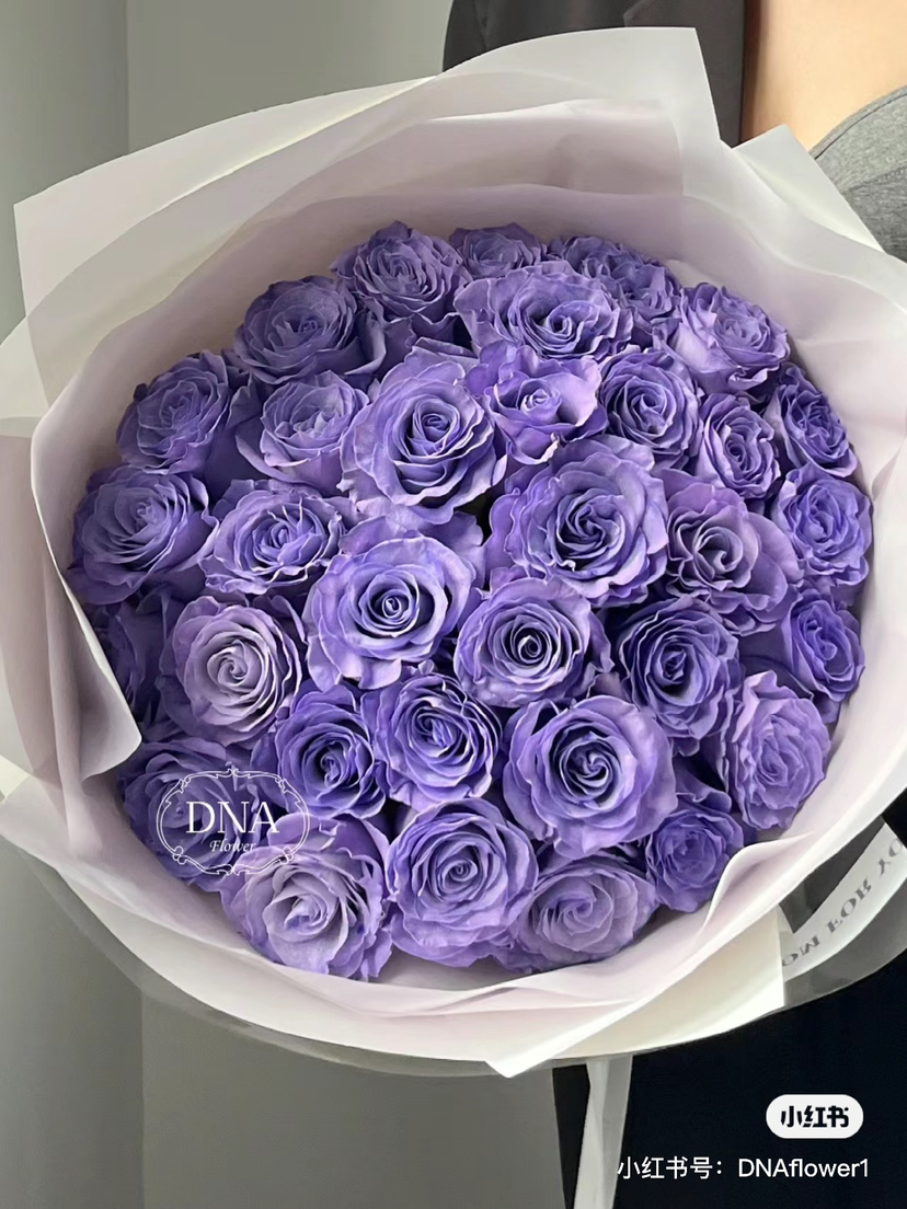 厄瓜多尔-【Sweet Lavender】甜蜜薰衣草