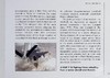 【中商原版】现代军用飞机 发展 武器装备 规格 英文原版 Robert Jackson Modern Military Aircraft 商品缩略图6