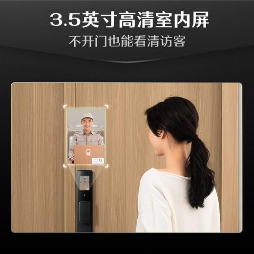 德施曼（DESMAN） Q3MPro家用防盗门密码锁指纹锁全自动可视猫眼智能锁 高端黑 商品图2