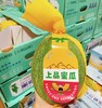 富硒蜜瓜 |水果 商品缩略图0