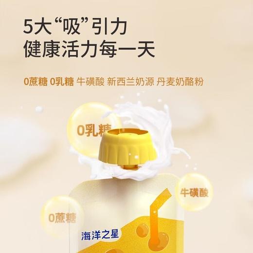 海洋之星宠物零食奶酪冻猫咪狗狗牛奶补水发腮零乳糖助肠胃60g 商品图3