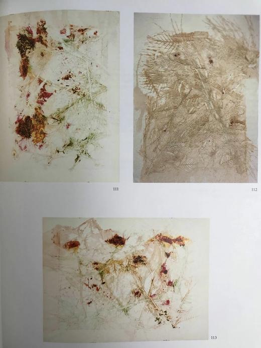 南希·格雷福斯版画集 约200幅插图 精装16开 商品图8