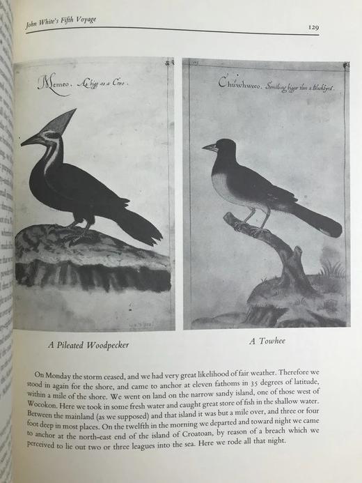 第一批殖民者：哈克卢特北美之旅 数十幅插图 布面精装大16开 商品图6