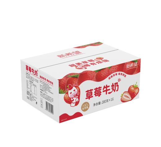 【新品尝鲜】新希望牛角包草莓牛奶200g*16 商品图4