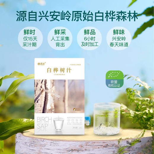 嘉桦白桦树汁 纯原汁，无任何添加，原汁原味 商品图2