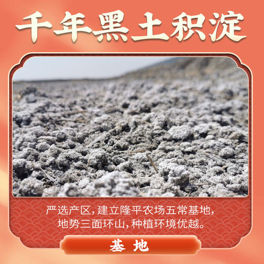 隆平芯米五常福稻500g东北长粒香粳米珍珠米当季新米 商品图4