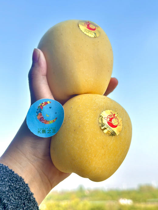 正宇农场黄金维纳斯苹果，交杂着香蕉/牛奶复合型香味，口感松脆 商品图6