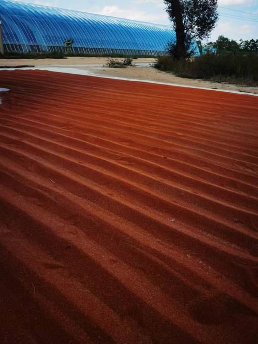 新小米｜2025年11月收 商品图9