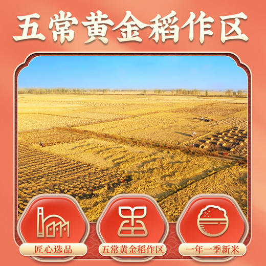 隆平芯米五常福稻500g东北长粒香粳米珍珠米当季新米 商品图1