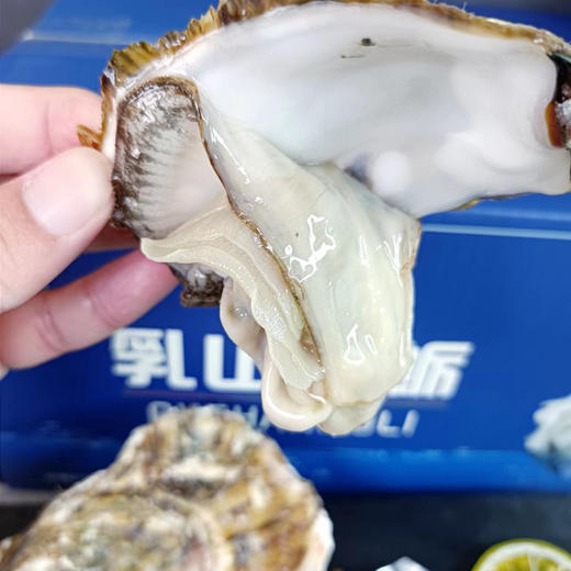 乳山生蚝 商品图1
