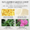 蝶印 马油补水型洗发水600mL 商品缩略图3