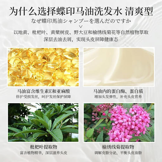 蝶印 马油补水型洗发水600mL 商品图3