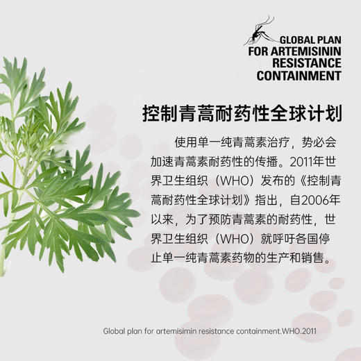 Kingnature萃瑞宝瑞士进口青蒿提取物胶囊72粒 商品图3