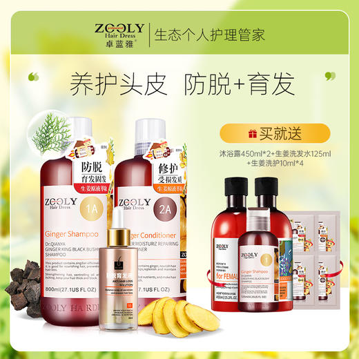 优选丨【洗护大套装+育发液】卓蓝雅生姜防脱洗护800ml*2+育发液50ml  防脱育发 家庭大套装 商品图0