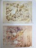 南希·格雷福斯版画集 约200幅插图 精装16开 商品缩略图7
