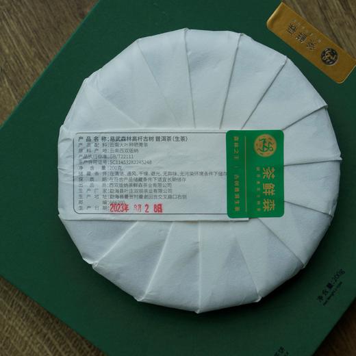 2023年薄荷塘易武森林高杆古树  普洱茶  生茶  200g/饼 商品图4