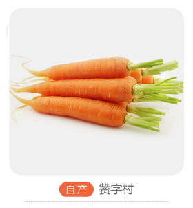 赞字村胡萝卜